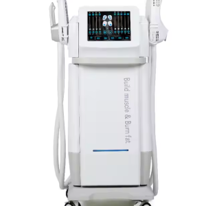 Produits de beauté tendance 2025 nouveautés EMS stimulateur musculaire du corps EMS dispositif de construction musculaire